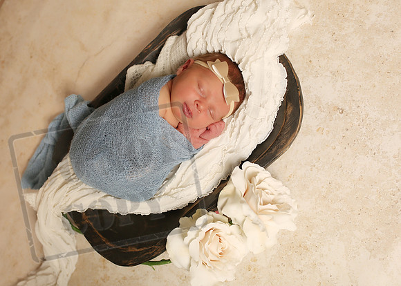 Harper (5)