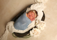 Harper (6)