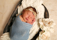 Harper (7)