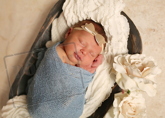 Harper (7)