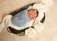 Harper (8)