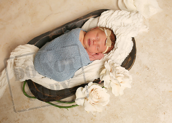 Harper (8)