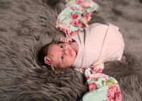 Brayleigh (3)