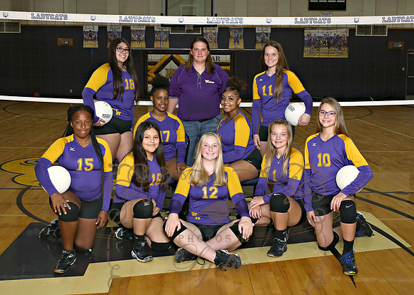 JV Gold