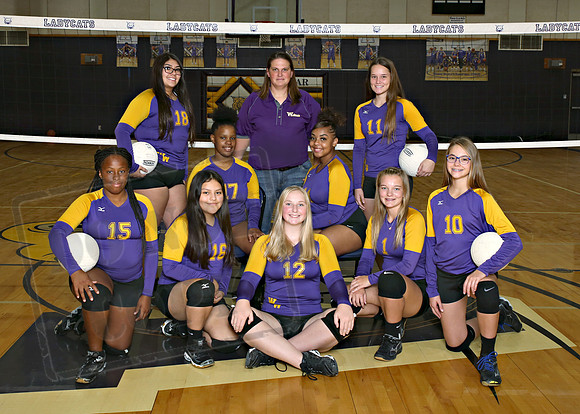 JV Gold