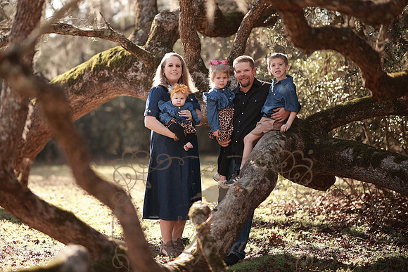 Family-28