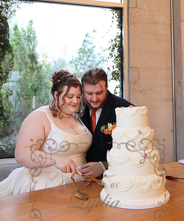 Cakes-2082