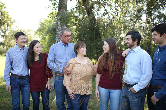 Sestak (20)