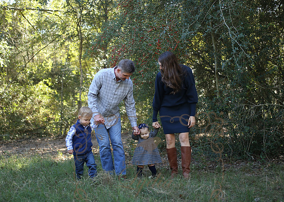 Graf (63)