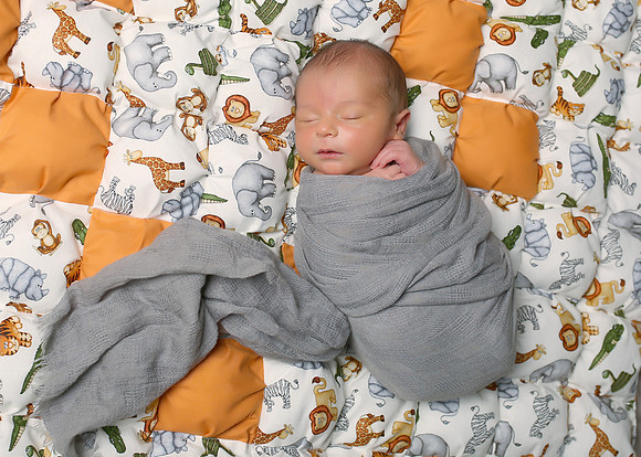 Jayden (4)