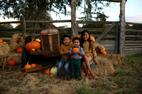 Fall Minis (1)