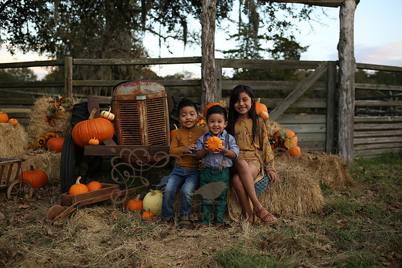 Fall Minis (1)
