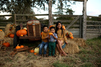 Fall Minis (2)