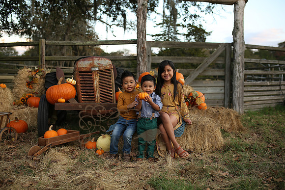 Fall Minis (2)