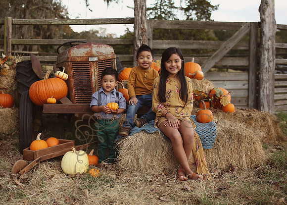 Fall Minis (4)