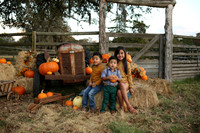 Fall Minis (3)