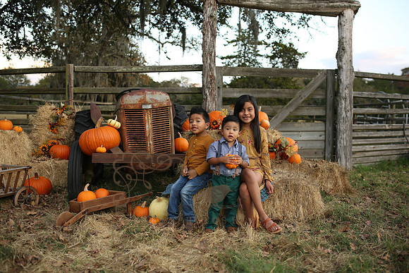 Fall Minis (3)