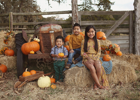 Fall Minis (5)