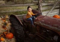 Fall Minis (6)
