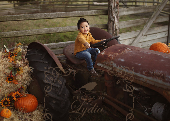 Fall Minis (6)