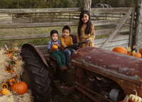 Fall Minis (7)