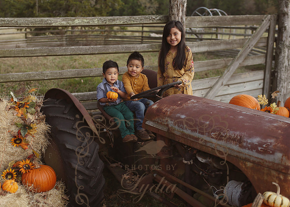 Fall Minis (7)