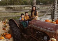Fall Minis (8)