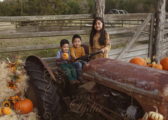 Fall Minis (8)
