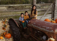 Fall Minis (9)