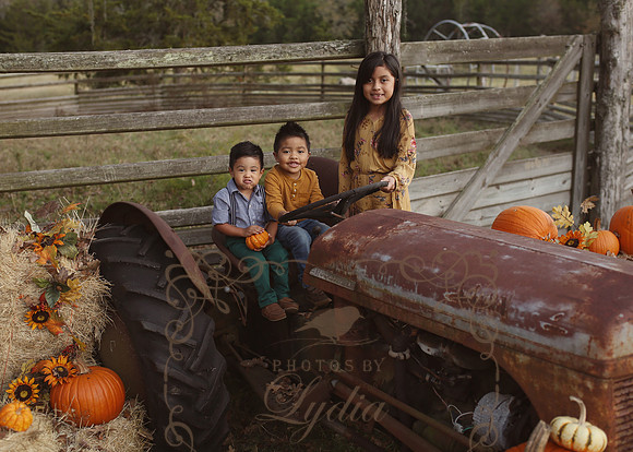 Fall Minis (9)