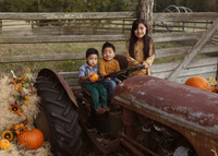 Fall Minis (10)