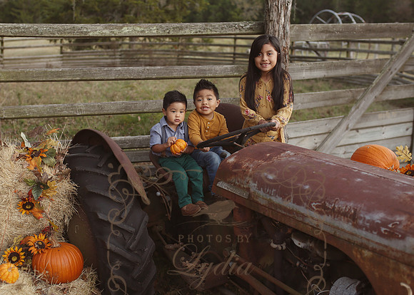 Fall Minis (10)