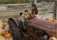 Fall Minis (11)