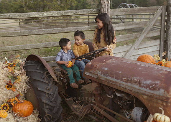 Fall Minis (11)