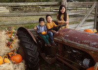 Fall Minis (12)