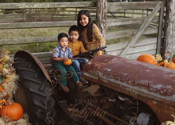 Fall Minis (13)