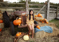Fall Minis (15)