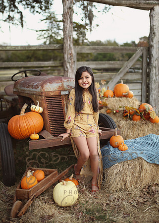 Fall Minis (16)