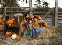 Fall Minis (19)