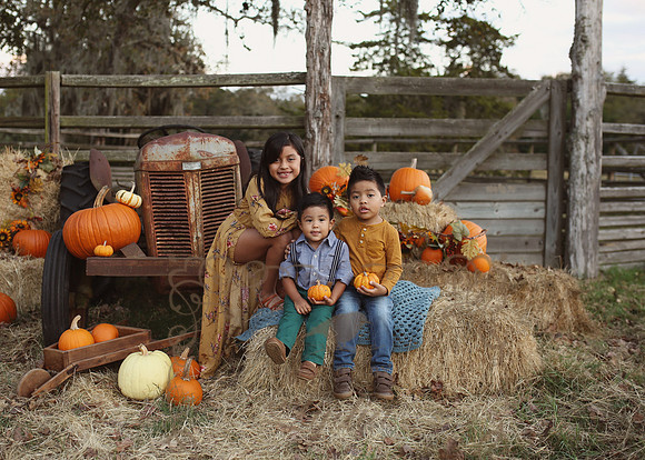 Fall Minis (19)
