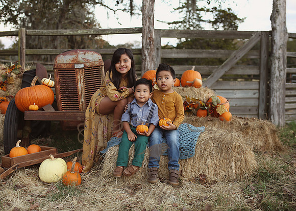 Fall Minis (20)