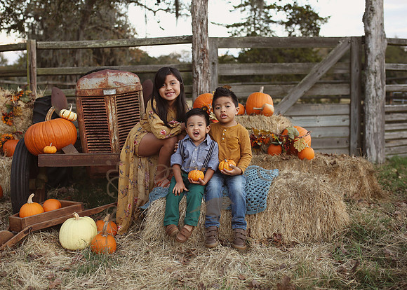 Fall Minis (21)