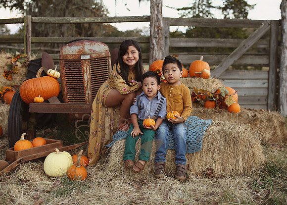 Fall Minis (22)