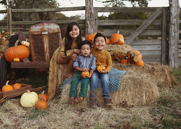 Fall Minis (23)