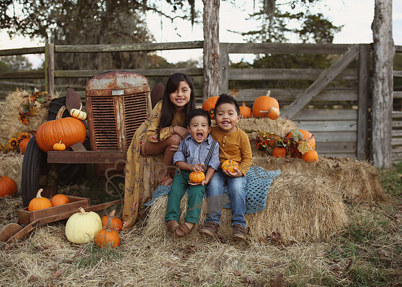 Fall Minis (24)