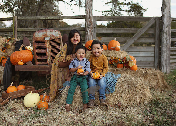Fall Minis (25)