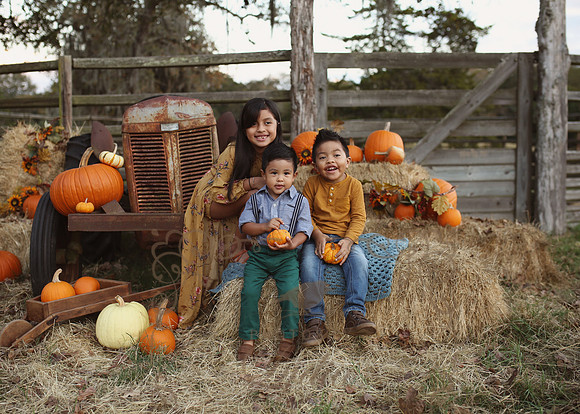 Fall Minis (26)