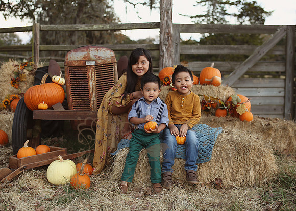 Fall Minis (28)