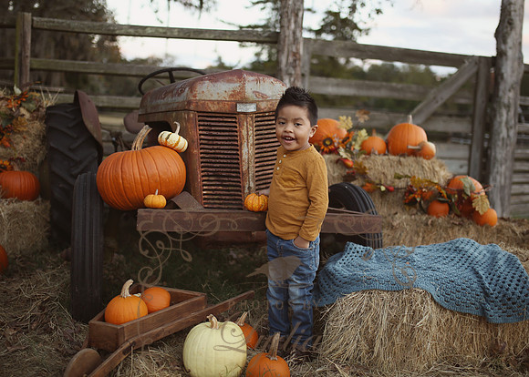 Fall Minis (29)