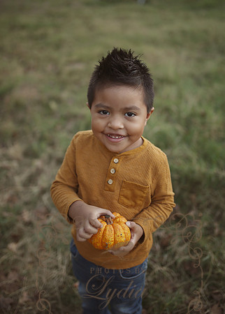 Fall Minis (30)